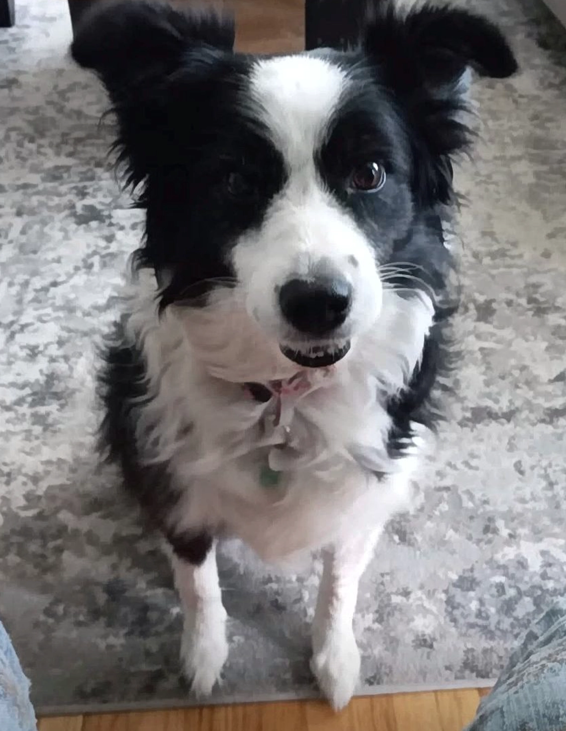 Thames Valley Cremation Services Inc - Obituaries - Gary Herbert Hunter