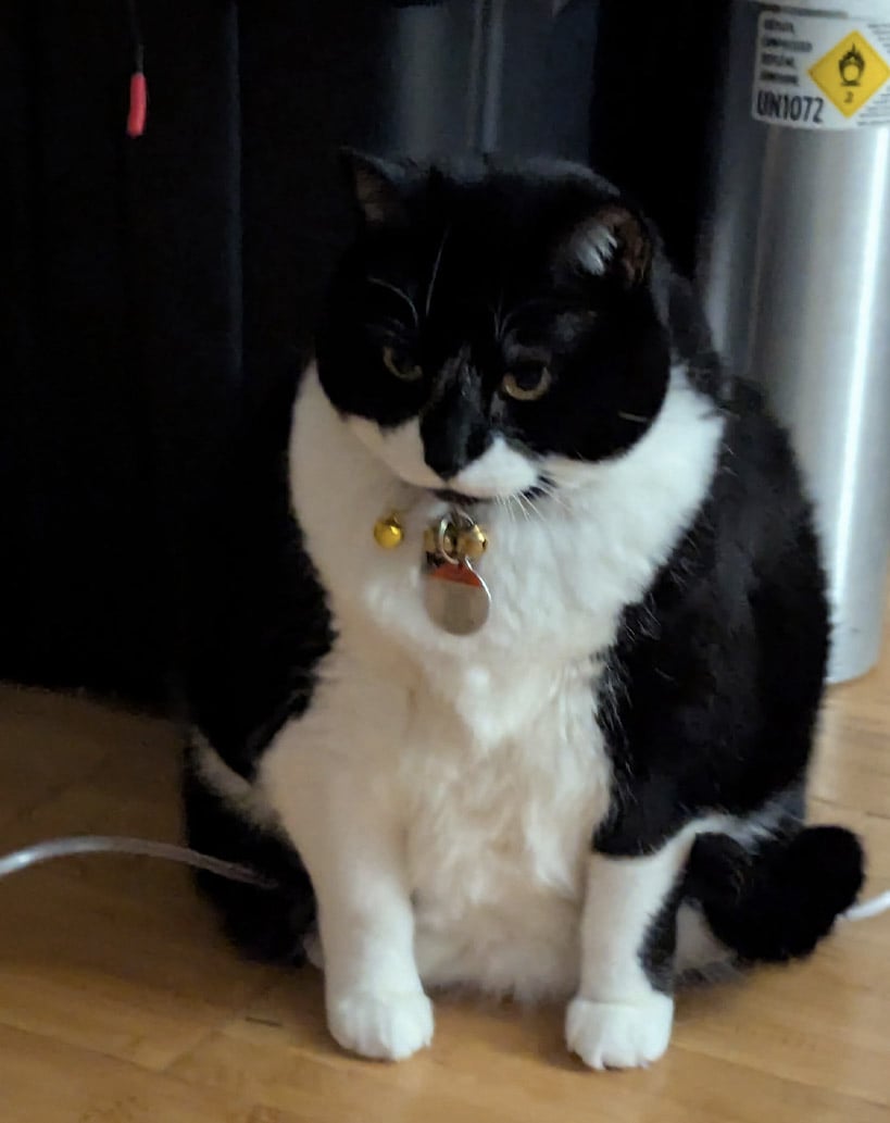 Thames Valley Cremation Services Inc - Obituaries - Penny Bach