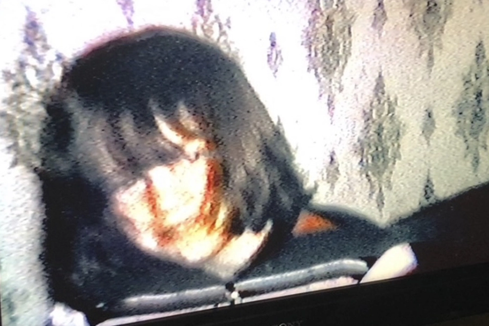 Thames Valley Cremation Services Inc - Obituaries - Stephen Mark McPhee