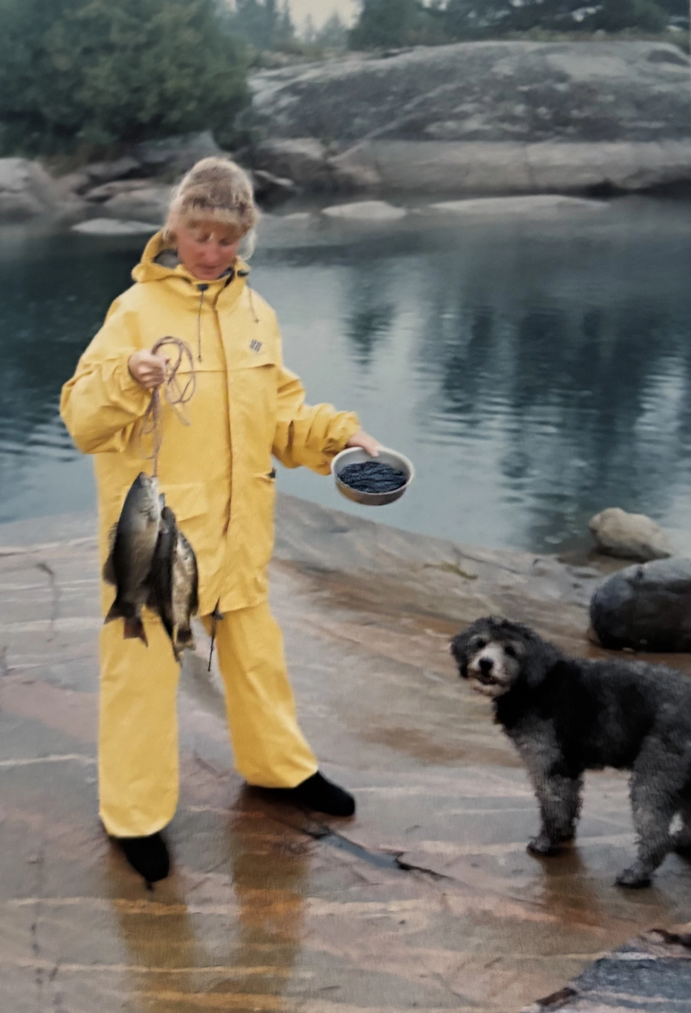 Thames Valley Cremation Services Inc - Obituaries