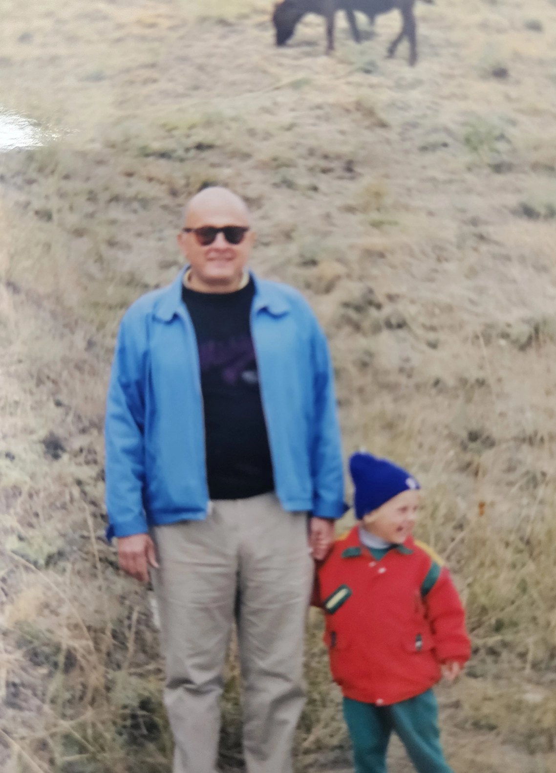 Thames Valley Cremation Services Inc - Obituaries